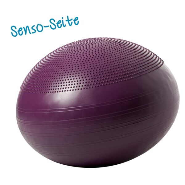 Togu® Pendel® Ball – Bild 2