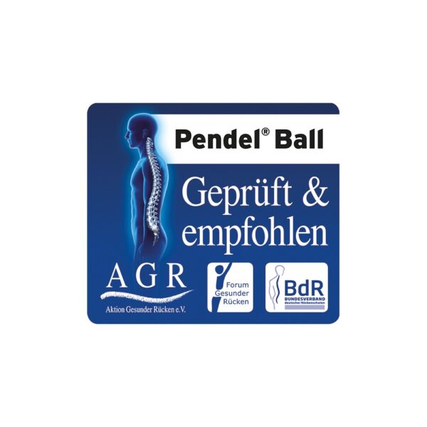 Togu® Pendel® Ball – Bild 4
