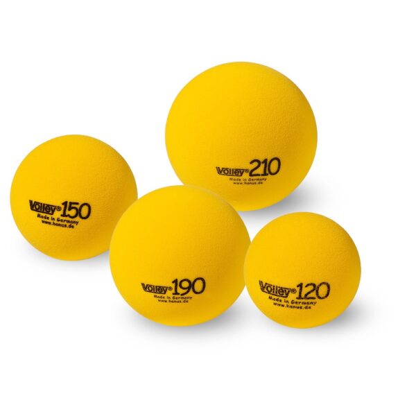 VOLLEY® Softball – Bild 2