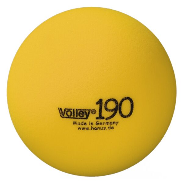 VOLLEY® Softball