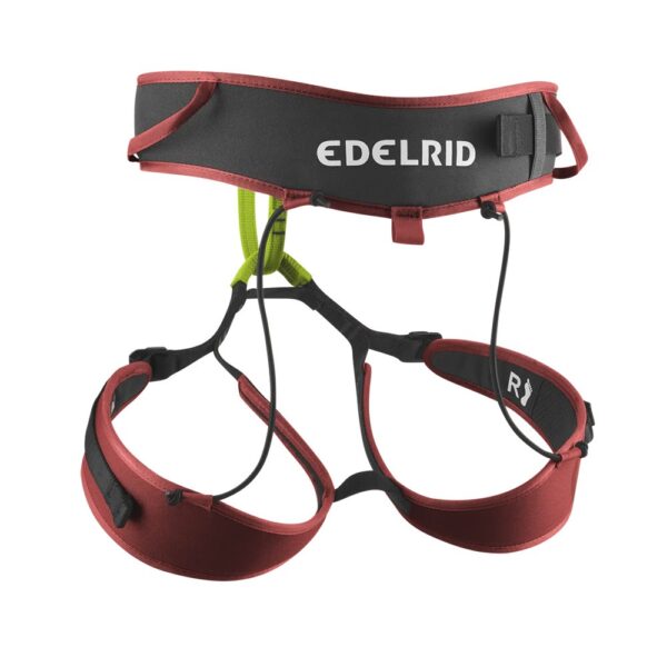 Edelrid Sitzgurt ZACK GYM – Bild 2