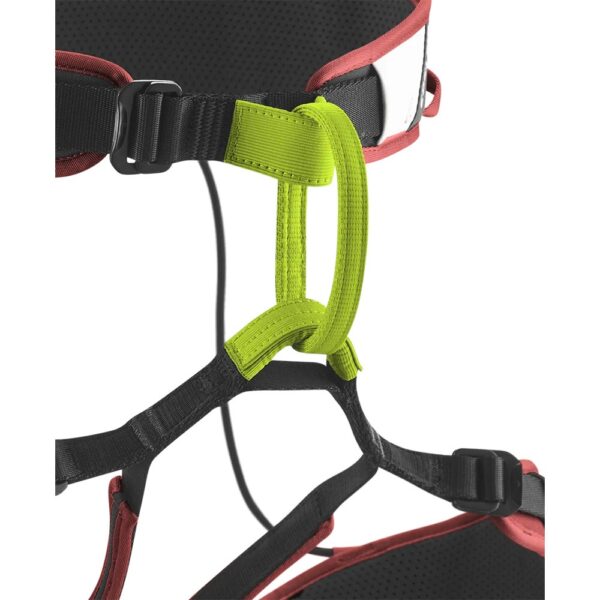 Edelrid Sitzgurt ZACK GYM – Bild 3