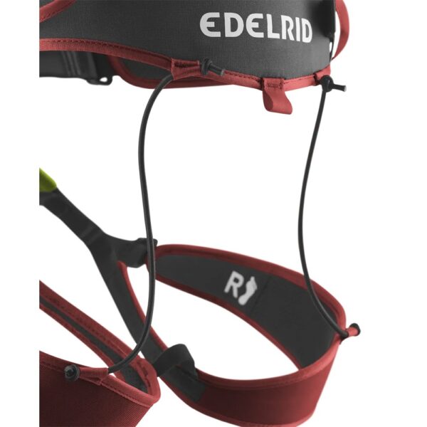 Edelrid Sitzgurt ZACK GYM – Bild 5