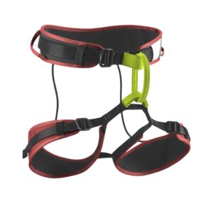 Edelrid Sitzgurt ZACK GYM