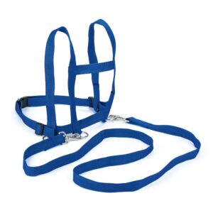 Pferdeleine Nylon