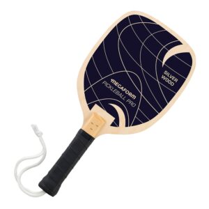Pickleball-Schläger PRO Silber