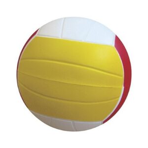 PU-Softball Volleyball